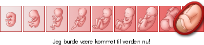 http://graviditet-og-barn.dk/ticker/0c818de636/1350.png