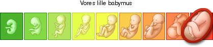 http://graviditet-og-barn.dk/ticker/49f706e2ca/4360.png