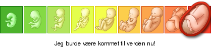 http://graviditet-og-barn.dk/ticker/69c7b80207/1045.png
